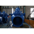 Double Suction Volute Casing Pump